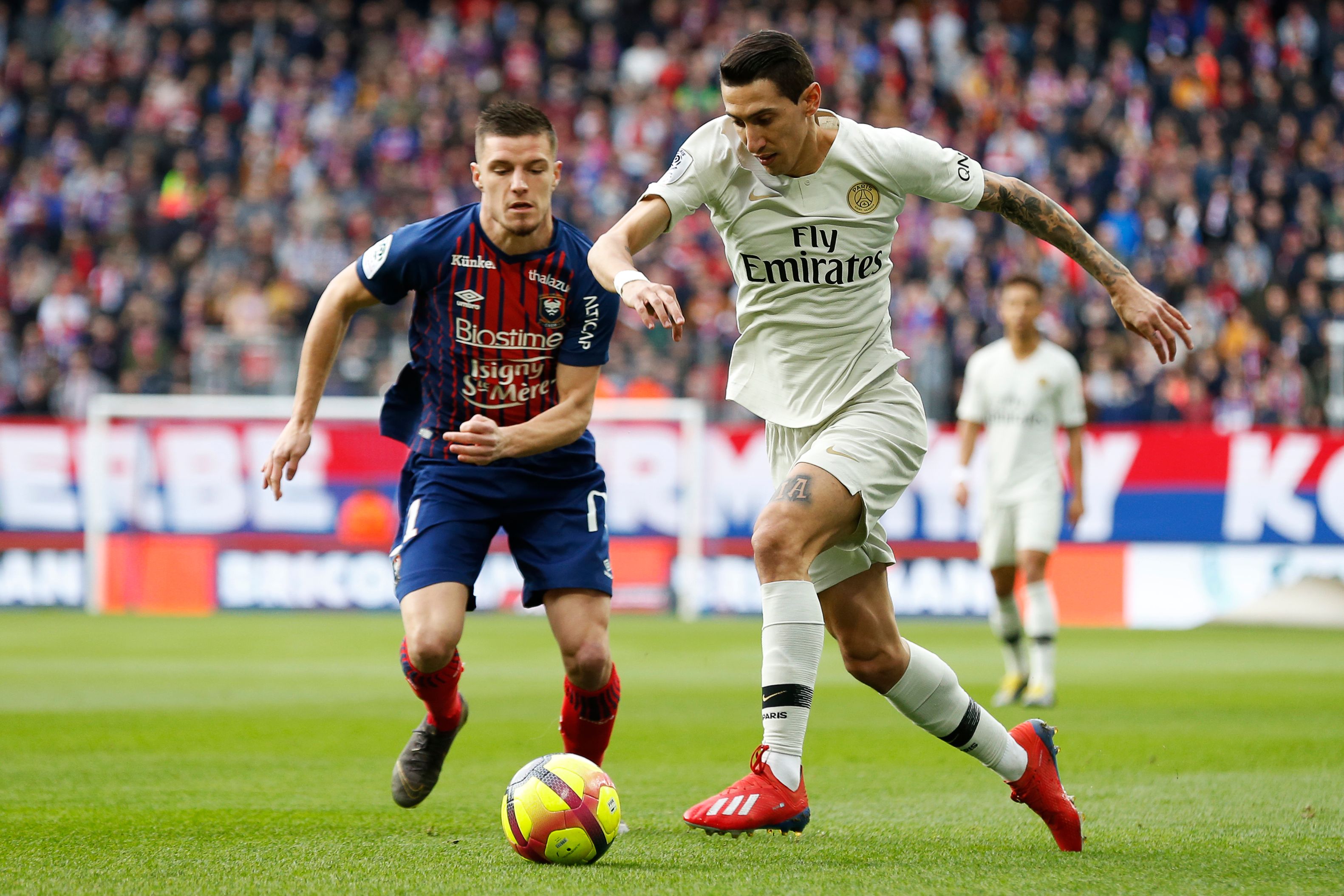 有了普尔 有了普尔